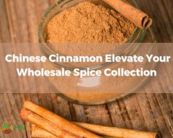 chinese-cinnamon-elevate-your-wholesale-spice-collection