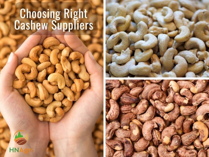 choose-a-trustworthy-cashew-supplier-to-keep-your-business-safe-from-many-dangers-1