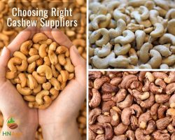 choose-a-trustworthy-cashew-supplier-to-keep-your-business-safe-from-many-dangers-1
