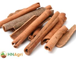 vietnamese-broken-cinnamon-a-fragrant-spice-with-a-unique-twist-1
