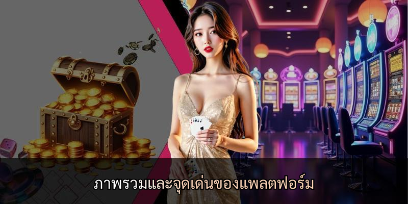 ภาพรวมและจุดเด่นของแพลตฟอร์ม