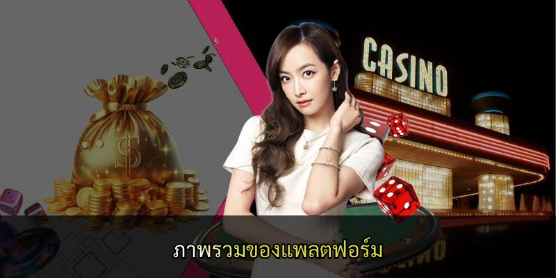 ภาพรวมของแพลตฟอร์ม