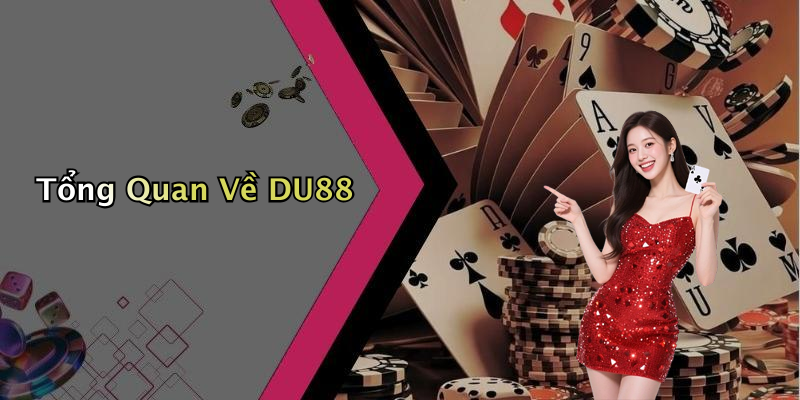 Tổng Quan Về DU88