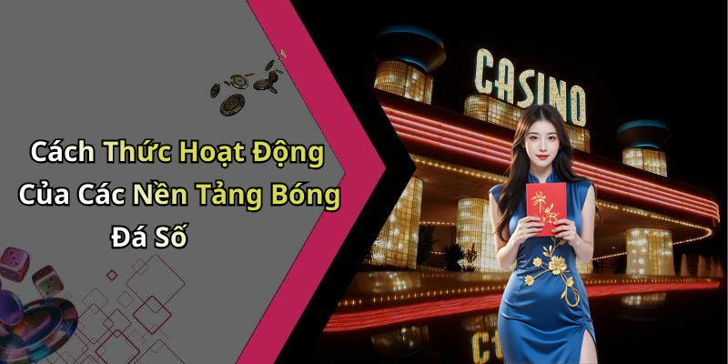 Cách Thức Hoạt Động Của Các Nền Tảng Bóng Đá Số