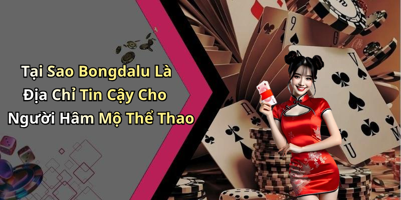 Tại Sao Bongdalu Là Địa Chỉ Tin Cậy Cho Người Hâm Mộ Thể Thao
