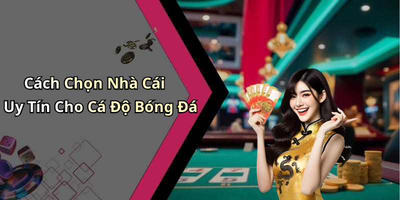 Cách Chọn Nhà Cái Uy Tín Cho Cá Độ Bóng Đá