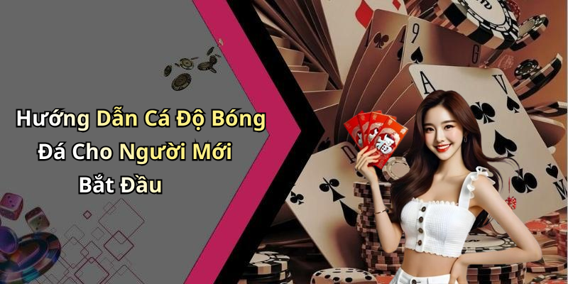 Hướng Dẫn Cá Độ Bóng Đá Cho Người Mới Bắt Đầu