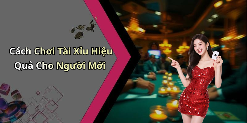 Cách Chơi Tài Xỉu Hiệu Quả Cho Người Mới