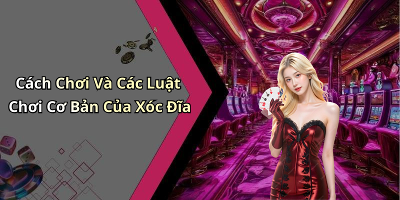 Cách Chơi Và Các Luật Chơi Cơ Bản Của Xóc Đĩa